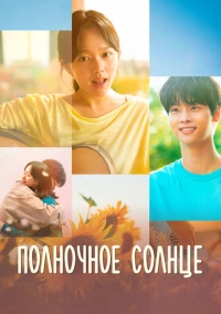 Полночное солнце (2025)